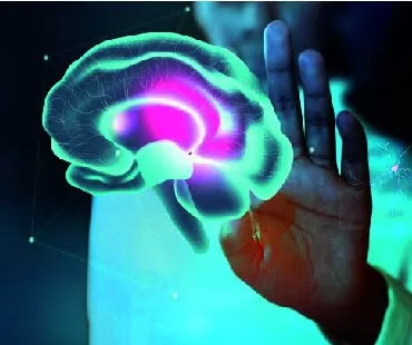 Avaliação Neuropsicológica